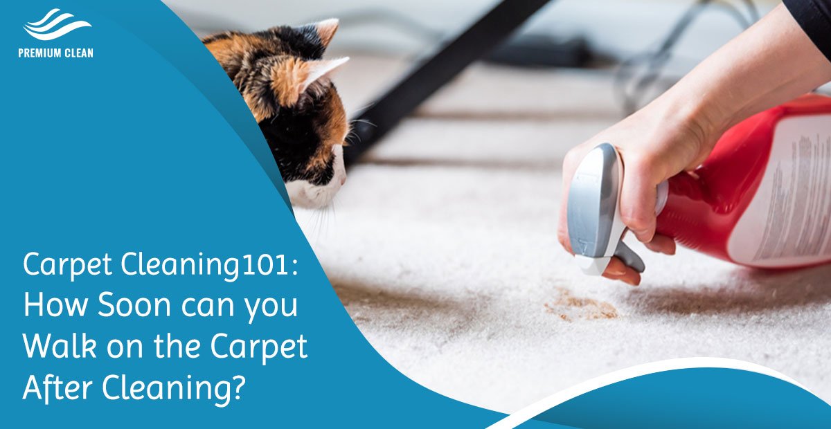 carpet cleaning 101