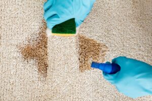 Carpet Cleaning Chemical