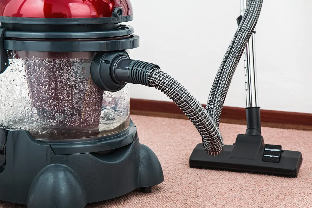 Remove dust Carpet