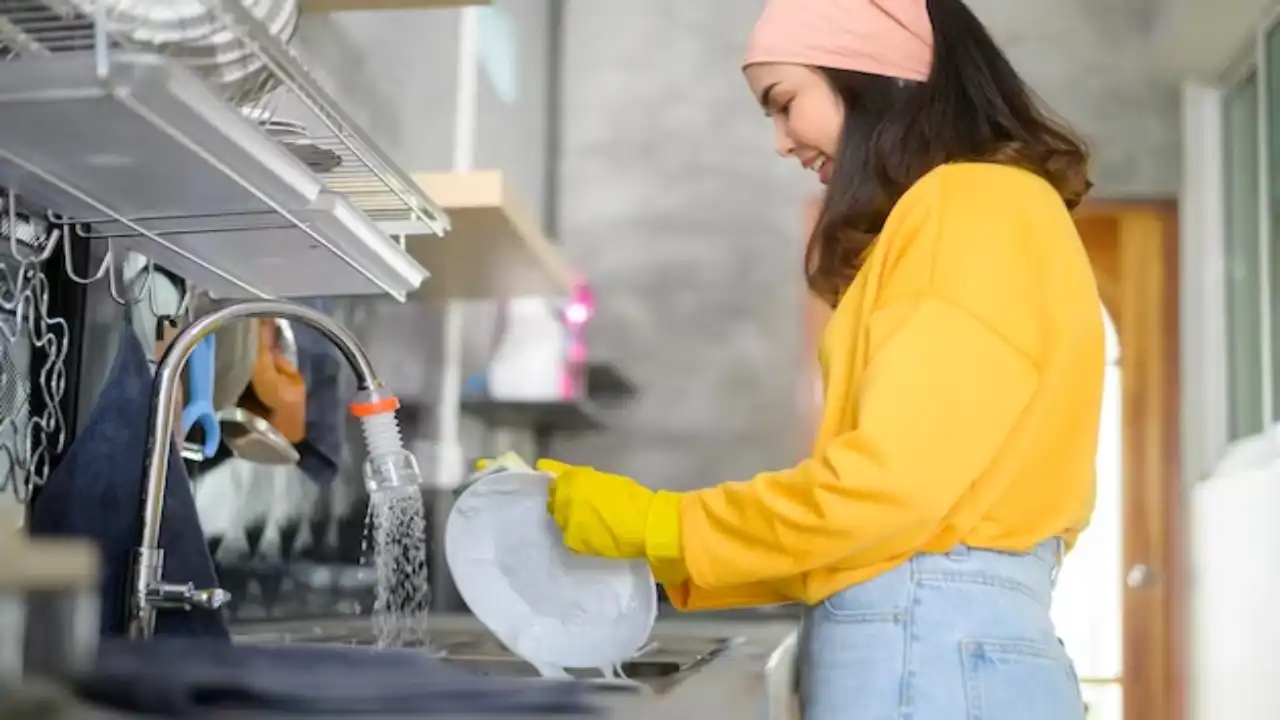 dishwasher cleaning