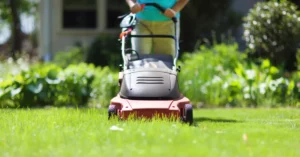 ft lawn mowing gardening services