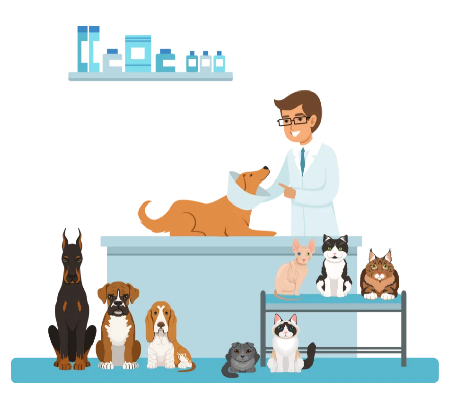 img veterinary clinic cleaning.png