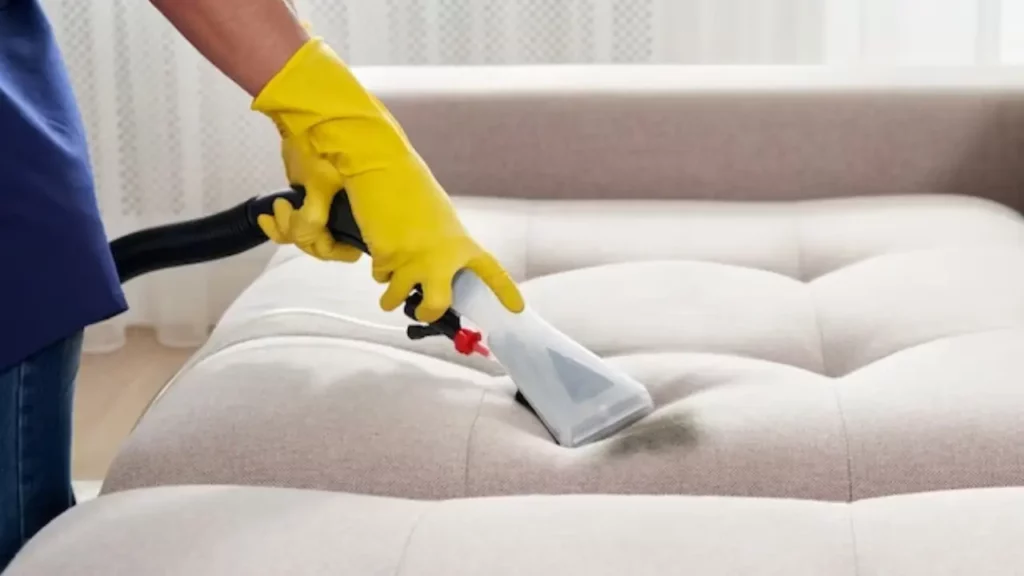regular couch cleaning