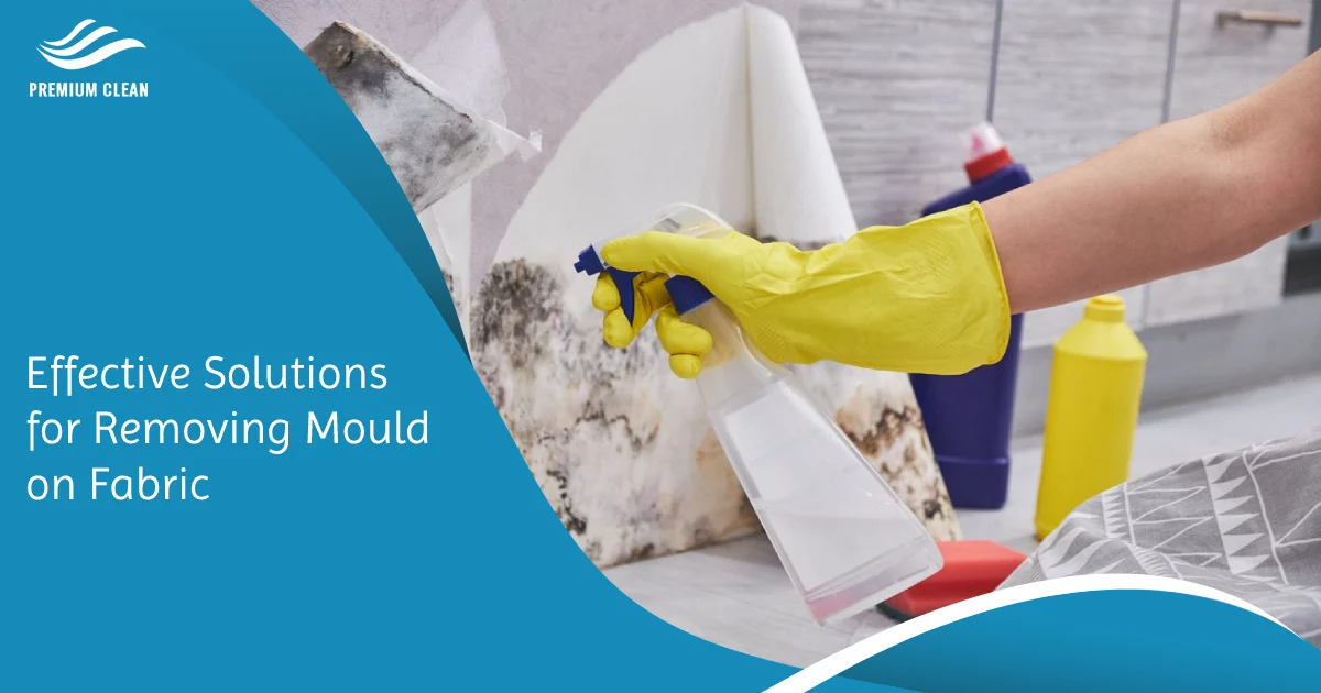 solutions removing mould on fabric