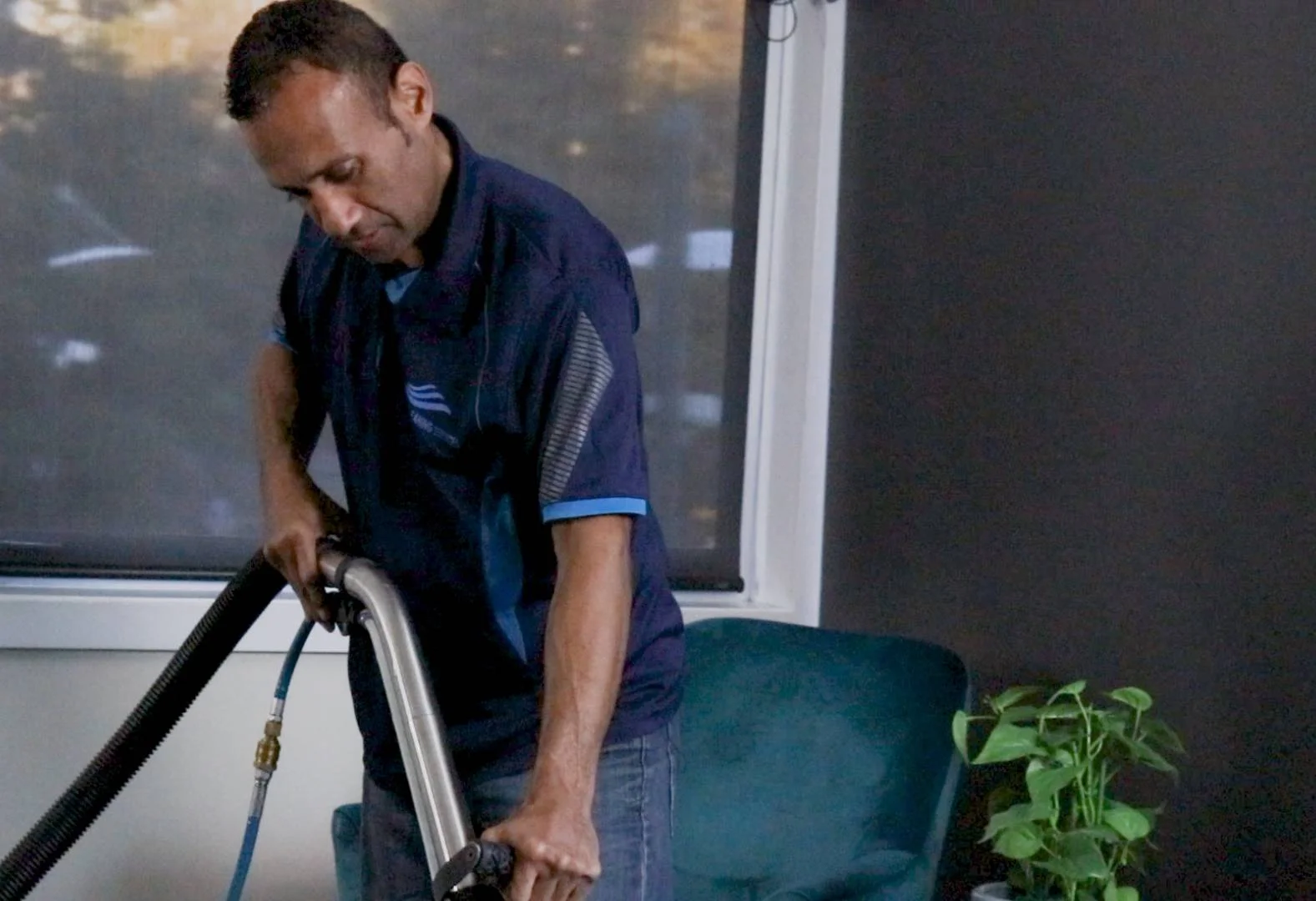 tauranga carpet cleaning services