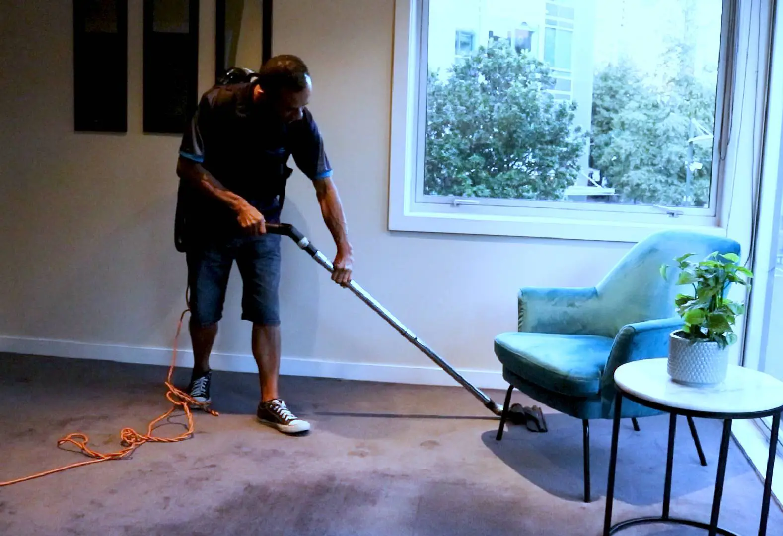 Wellington Carpet Cleaning Services