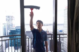 window cleaning services nz